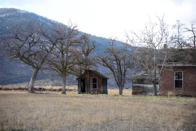 DSC_2879 (Large).JPG